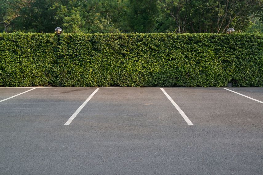 Parking vide avec des lignes blanches devant une haie verte.