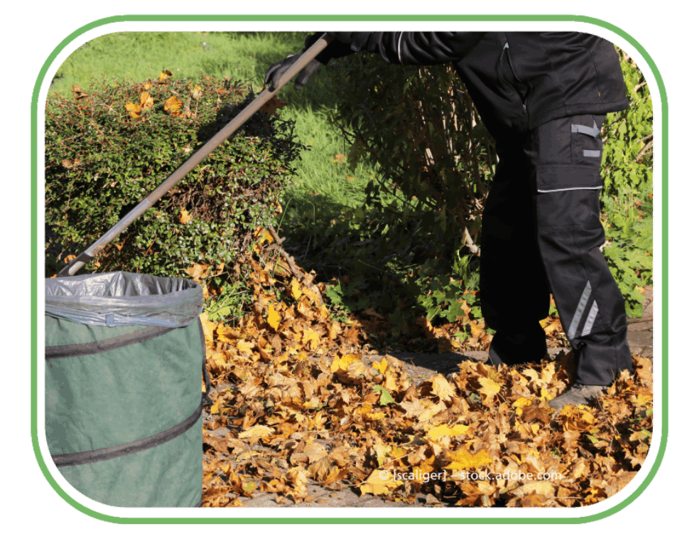 Hausmeisterservice Velbert - Robin Henkel, Mitarbeiter im Baum