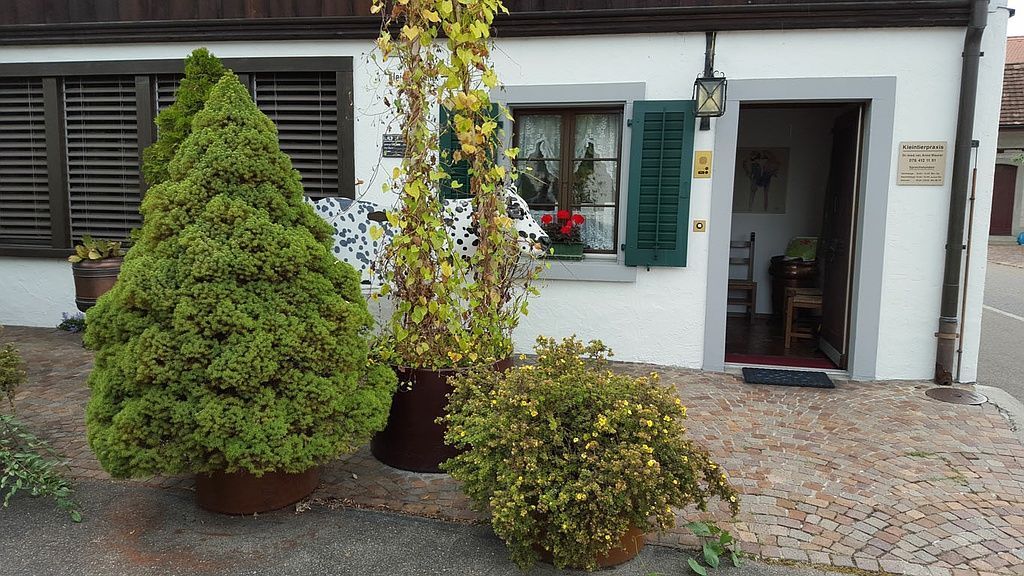 Kleintierpraxis Maurer - Effretikon