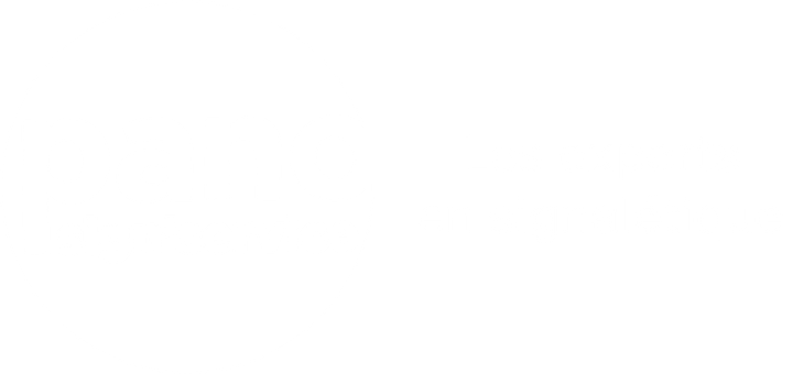 Logo Pano sign'service