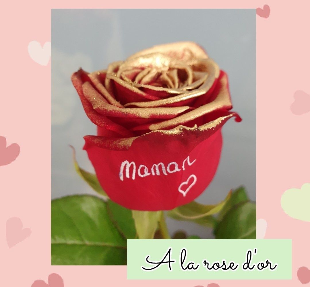Rose avec le haut des pétales doré et une inscription