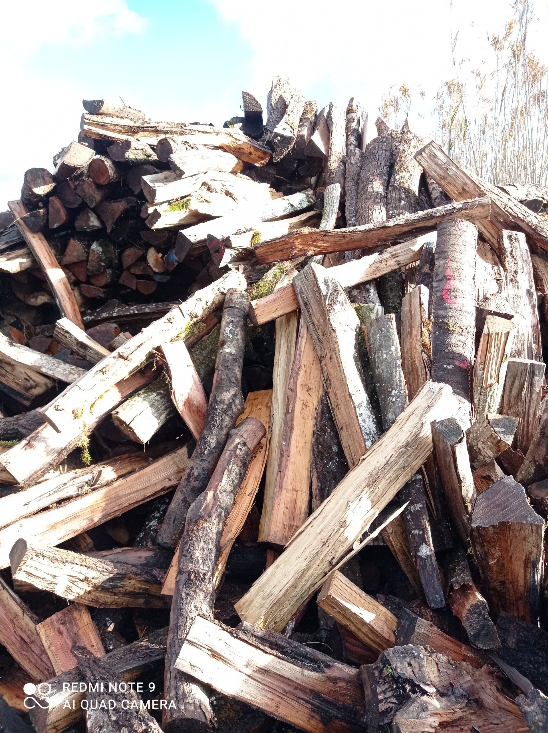 Vente de bois de chauffage