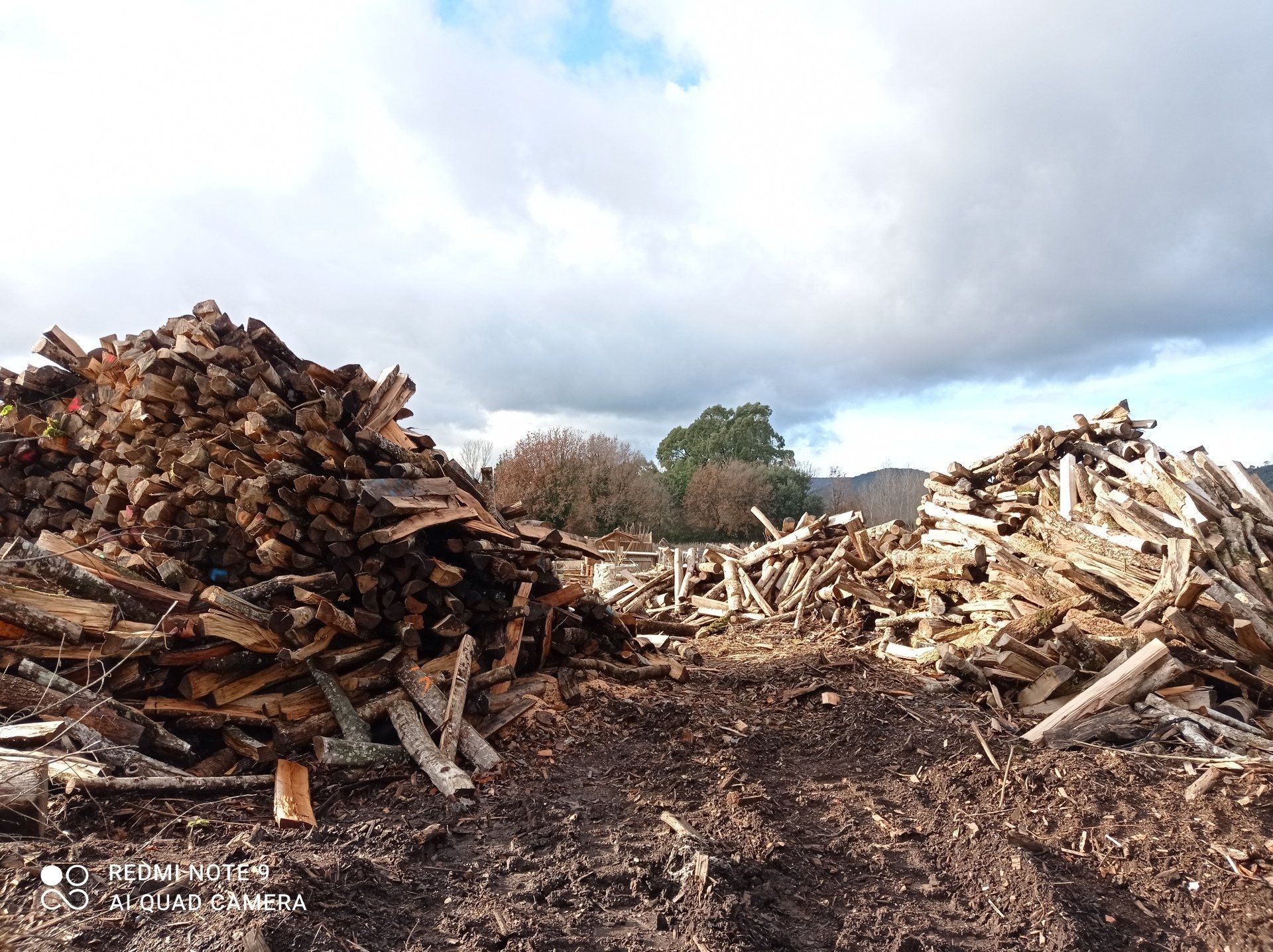 Découpe et vente de bois de chauffage