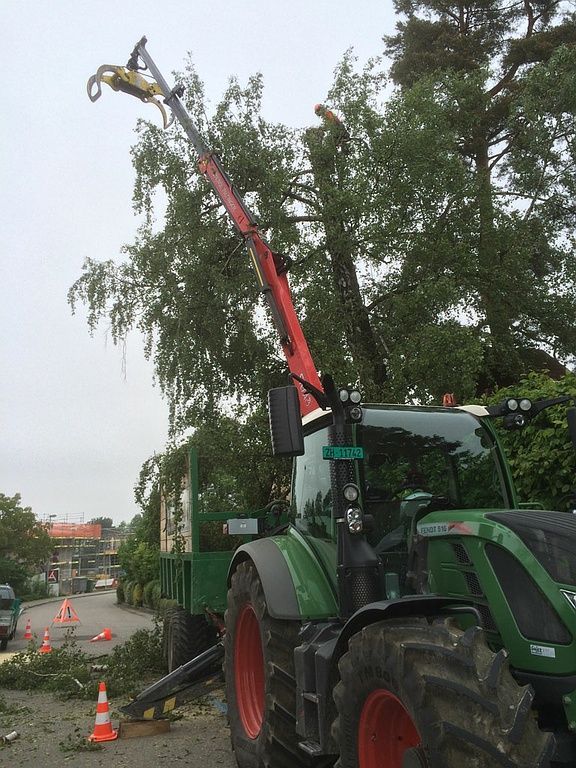 Spezialbaumfällung