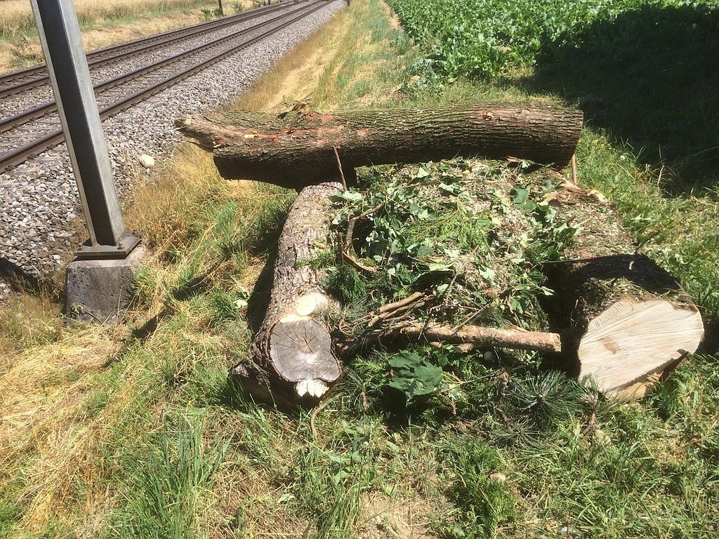 Landschaftsqualität