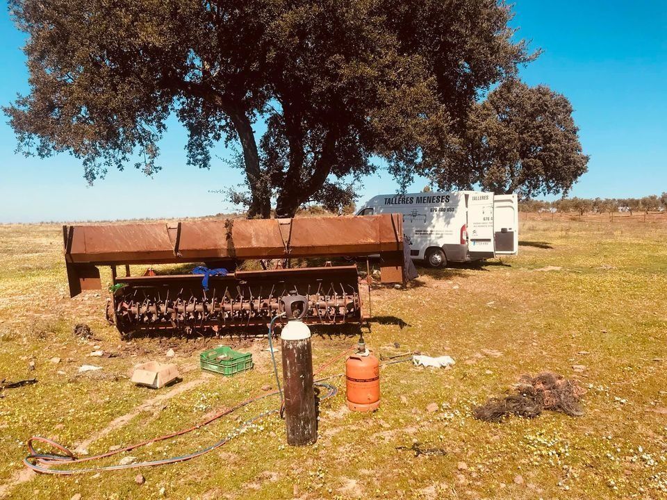 Una camioneta blanca está estacionada en un campo de hierba al lado de un árbol.