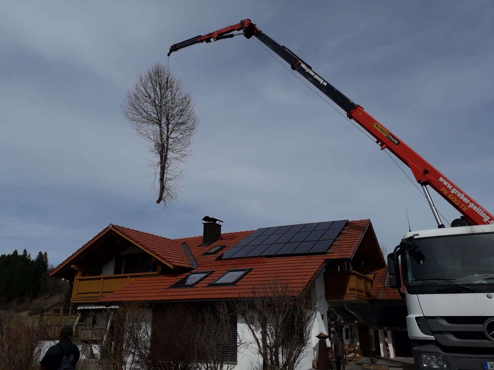 Baumbepflanzung mit einem Palfinger-Montagekran