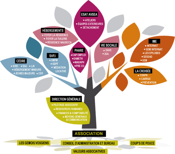 Arbre-avec-texte-2 Arbre-avec-texte-2