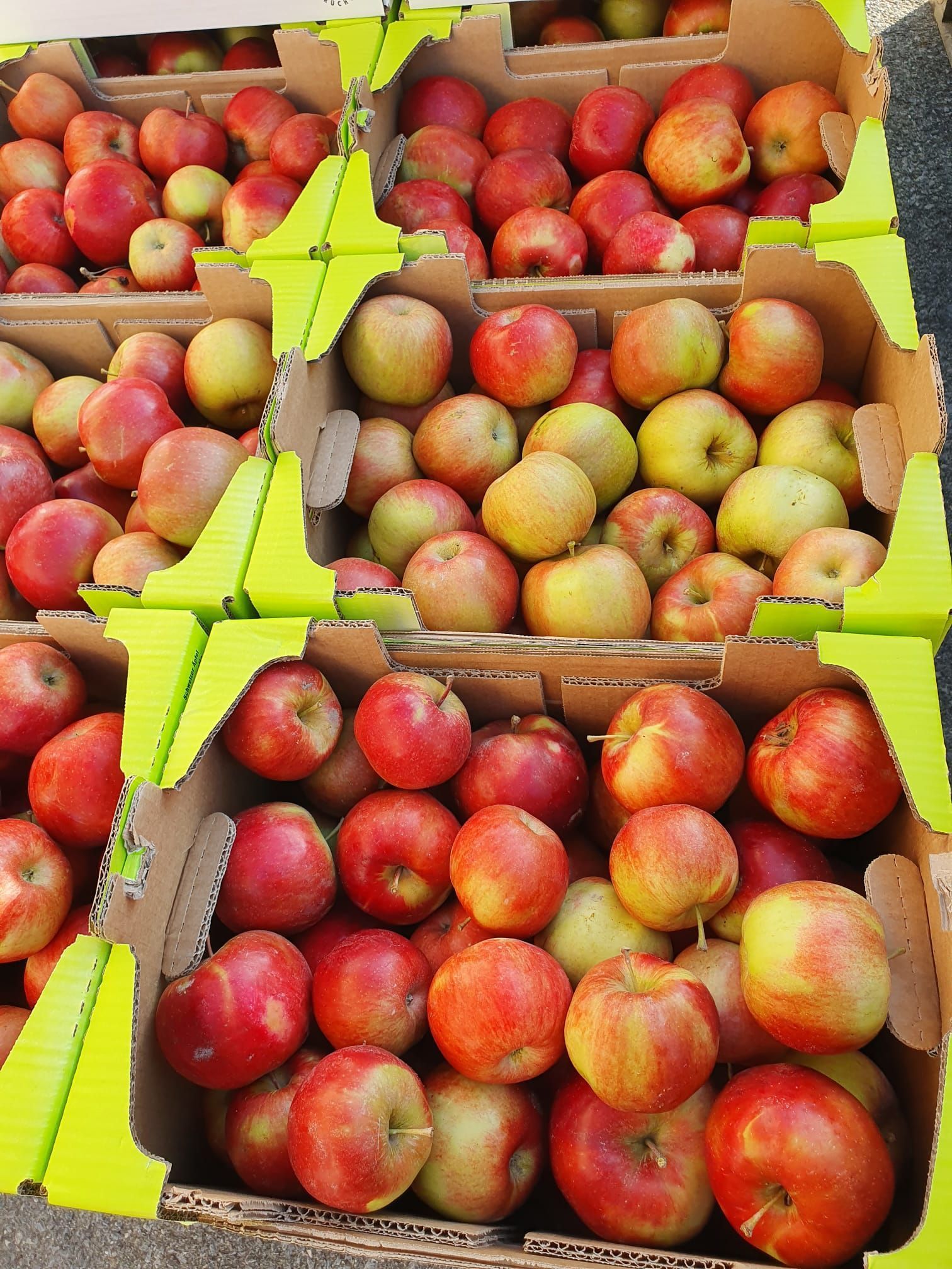 Cave et Verger du Vieux Pressoir| Riddes
