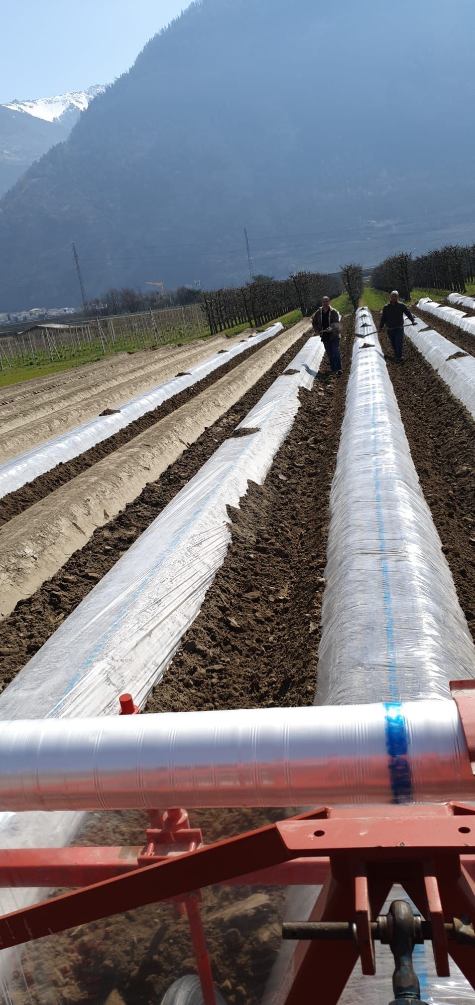 Cave et Verger du Vieux Pressoir| Riddes