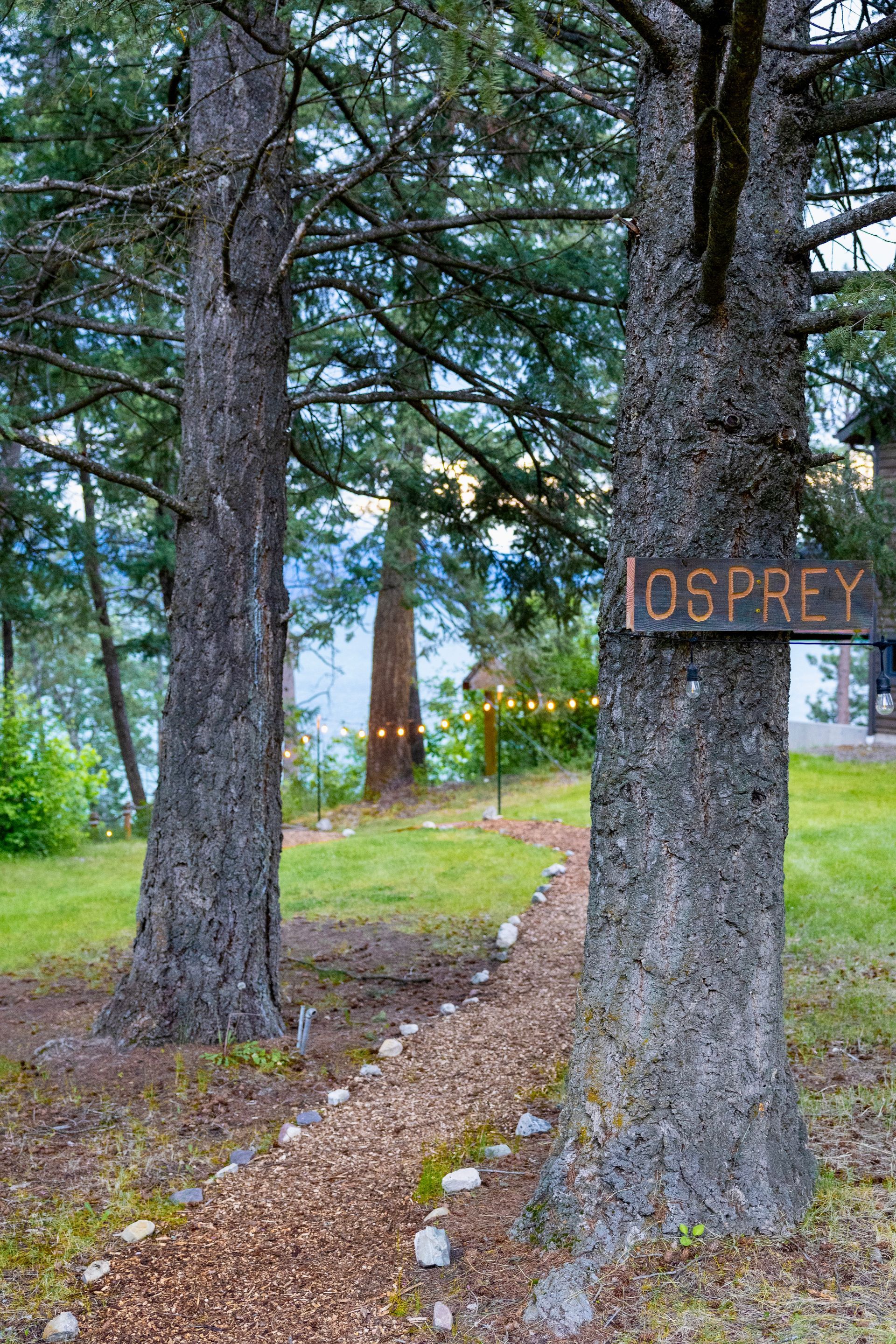 Somers Bay on Beautiful Flathead Lake, Osprey Getaway Cabin, Waterfront, Montana Adventures