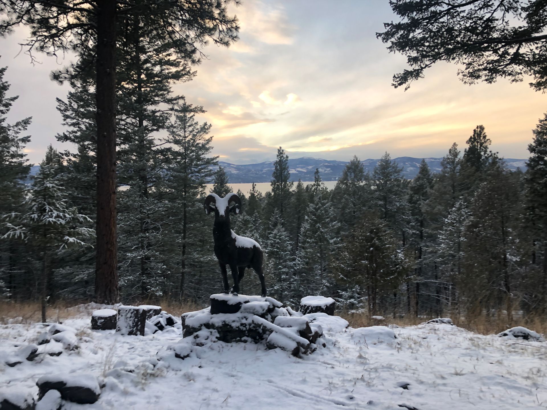 Elk Crest Cabin, with view of Flathead Lake, Bigfork MT great location, Enjoy Montana Vacation Rentals