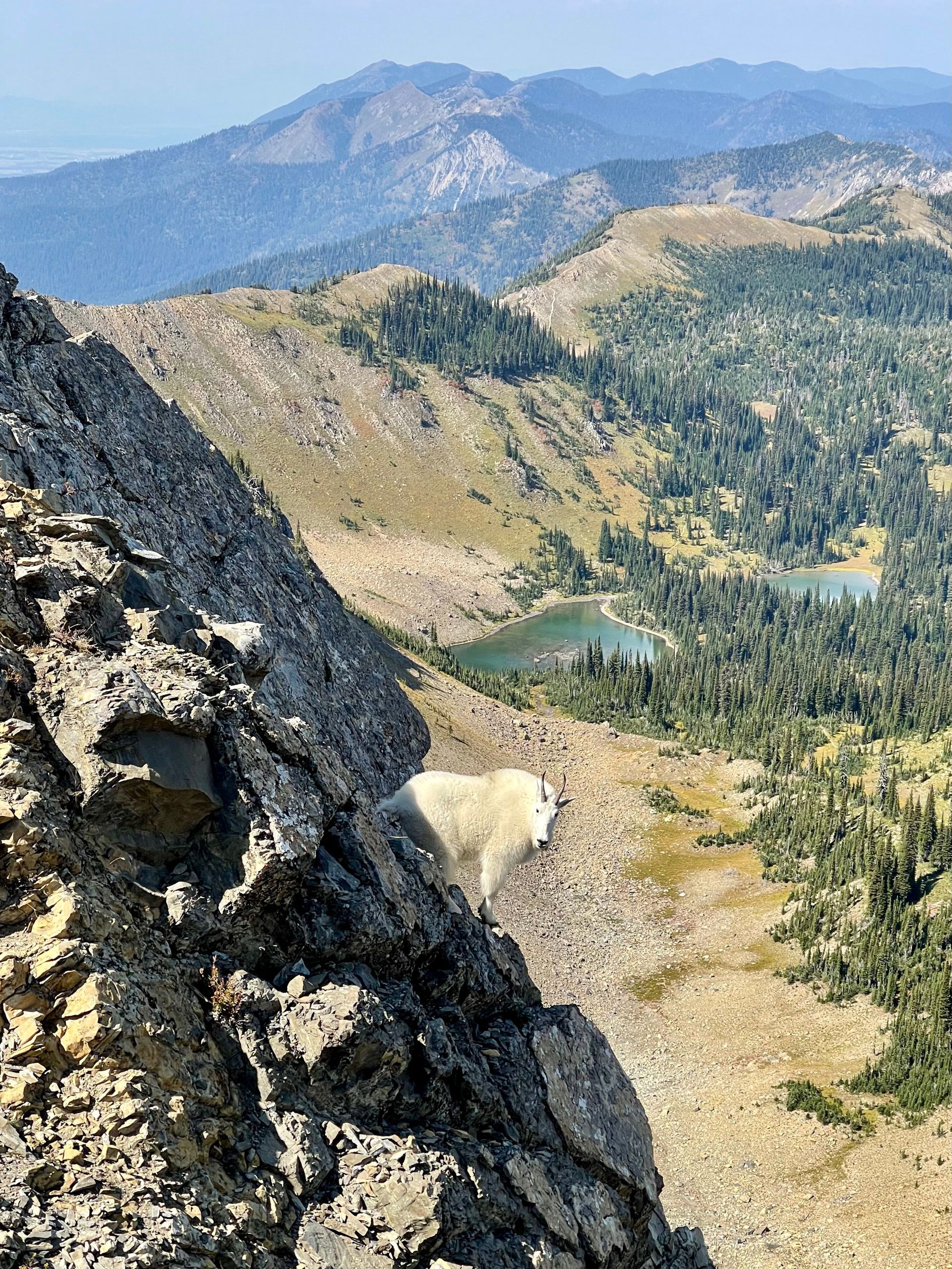 Glacier Park, Going to the Sun Road, Montana Adventure, Enjoy Montana Vacation Rentals and Property Management