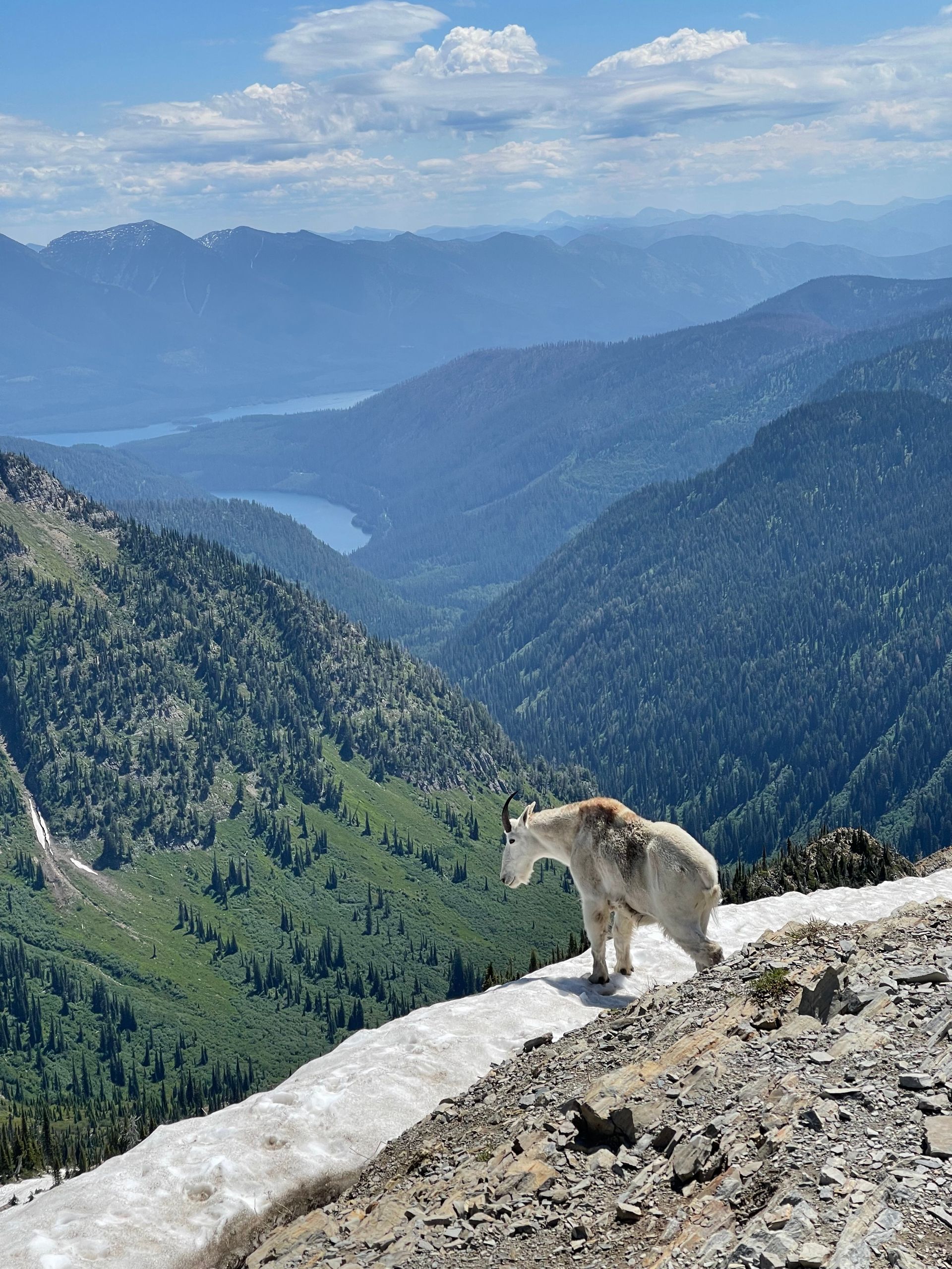 Glacier Park, Flathead Lake, Enjoy Montana Vacation Rentals and Property Management 