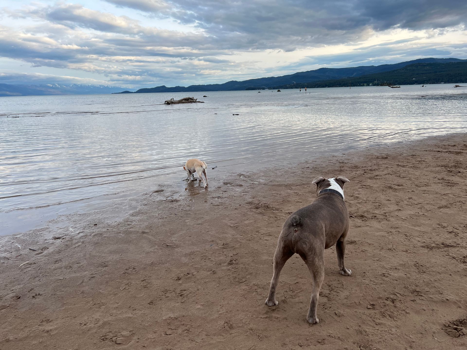 Flathead Lake, the largest freshwater lake west of the Great Lakes - Beautiful for all water adventures and boating of every kind