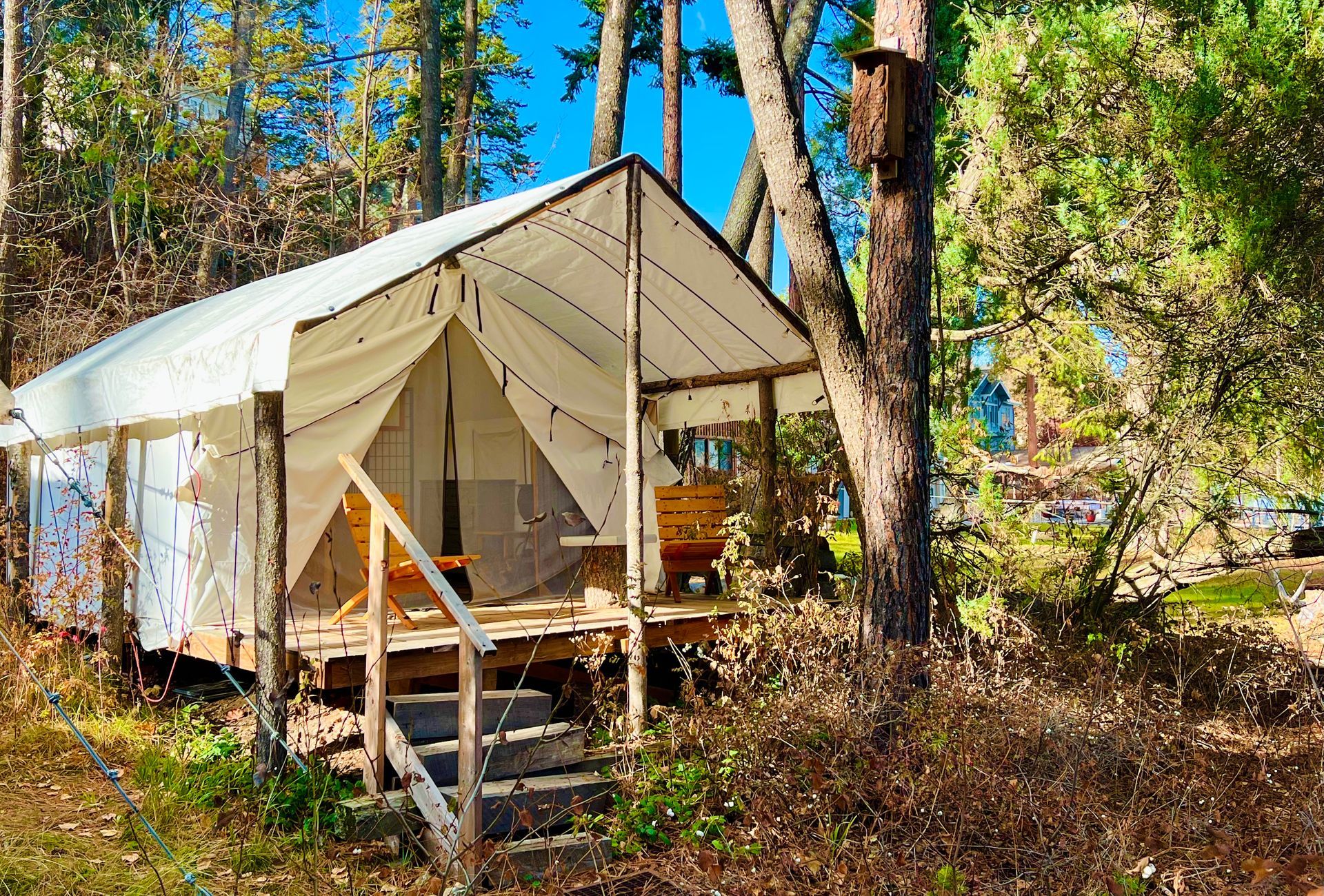 Waterfront Cabin on Flathead Lake, Osprey Getaway Cabin with Glamping Tent and porch, Montana Adventure, Enjoy Montana 