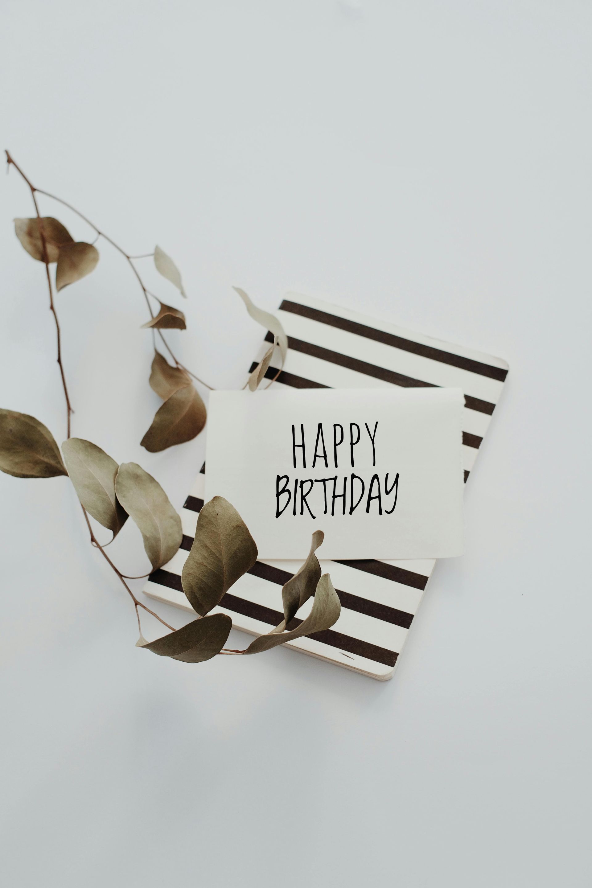 Birthday card on striped gift box with dry plant branch on white background.