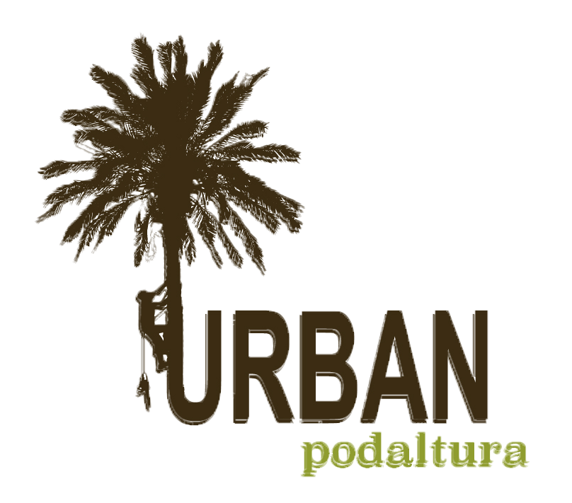 logotipo cabecera
