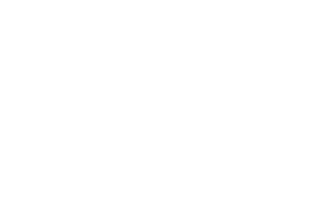 GAUDELAS SAS