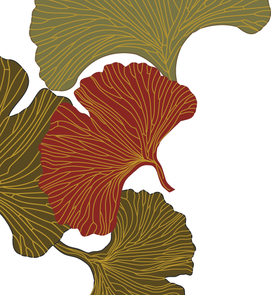 Traditionelle-Chinesische-Medizin-Barbara-Schatt_logo