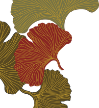 Traditionelle-Chinesische-Medizin-Barbara-Schatt_logo