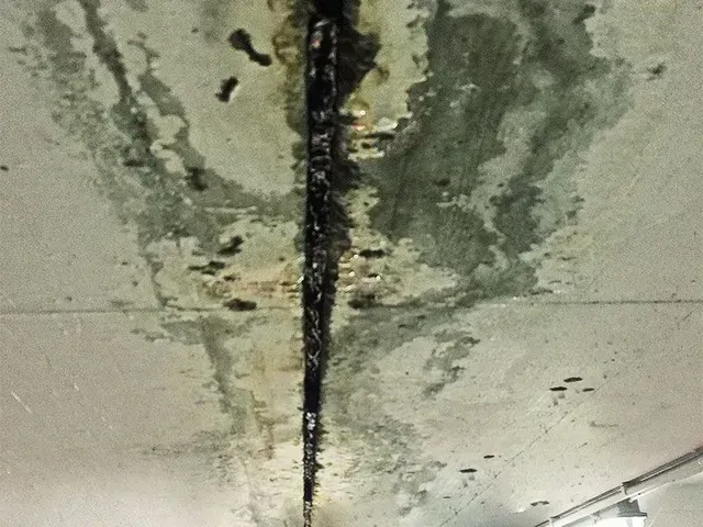 Renzel-Mangold Bautenschutz e.K. - Schimmelbildung an der Fuge einer Betonwand