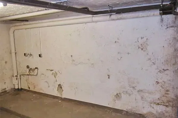 Renzel-Mangold Bautenschutz e.K. - Verwitterte Betonwand mit Rissen, Löchern und Schimmelbildung