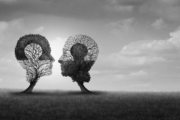 Una fotografía en blanco y negro de dos árboles con forma de cabeza en un campo.