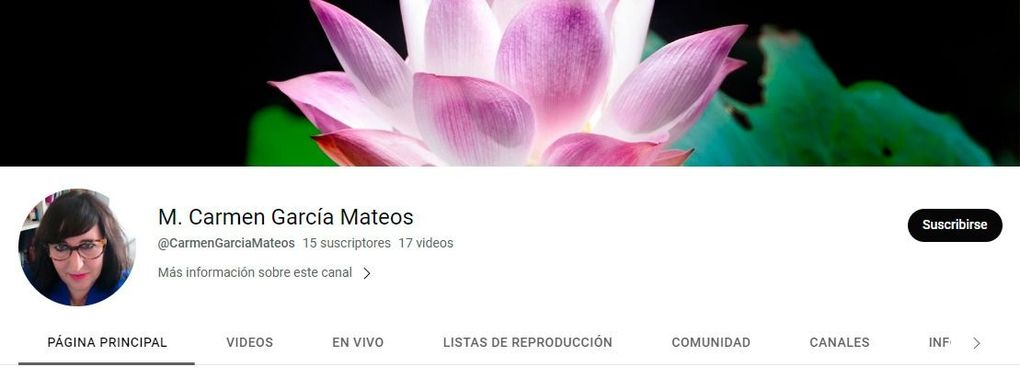 Un primer plano de una flor de loto rosa en una página de Facebook.