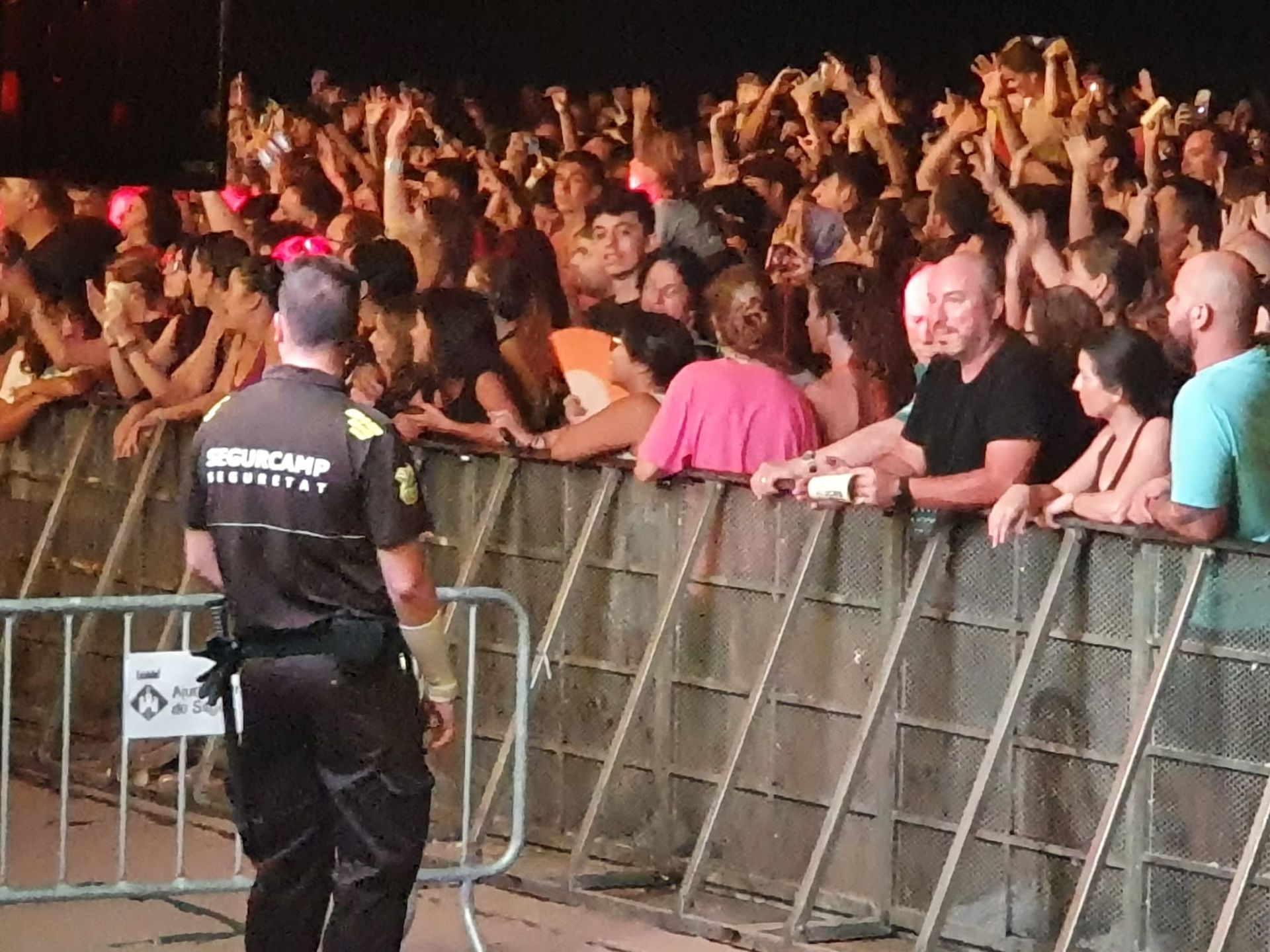 Un guardia de seguridad se encuentra frente a una multitud en un festival de música.