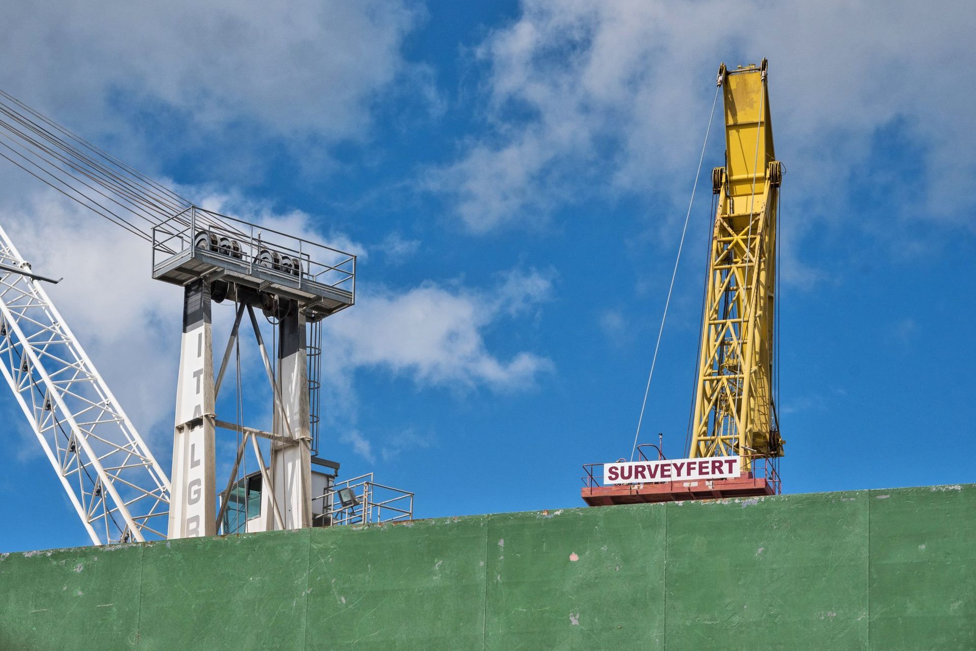 Grue jaune sur un mur vert contre un ciel bleu nuageux ; partie d'une grue blanche visible à gauche.