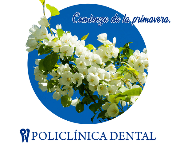 Un círculo azul con flores blancas y las palabras policinica dental