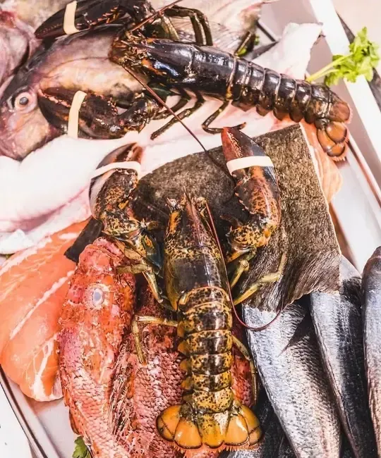 Langostas frescas, pescado entero y filetes dispuestos en una bandeja, mostrando una selección de mariscos crudos.