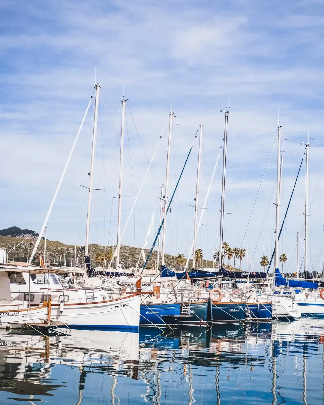 Varios veleros amarrados en un puerto deportivo bajo un cielo azul brillante, con reflejos visibles en las tranquilas aguas.
