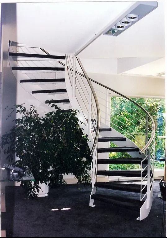 Wendeltreppe mit weissem Geländer, schwarzen Trittstufen und einer Topfpflanze in einem hellen, modernen Interieur.