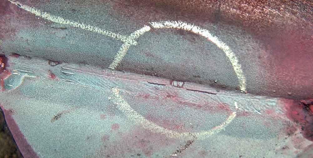 Farbeindringprüfung von Schweißnähten im Fokus