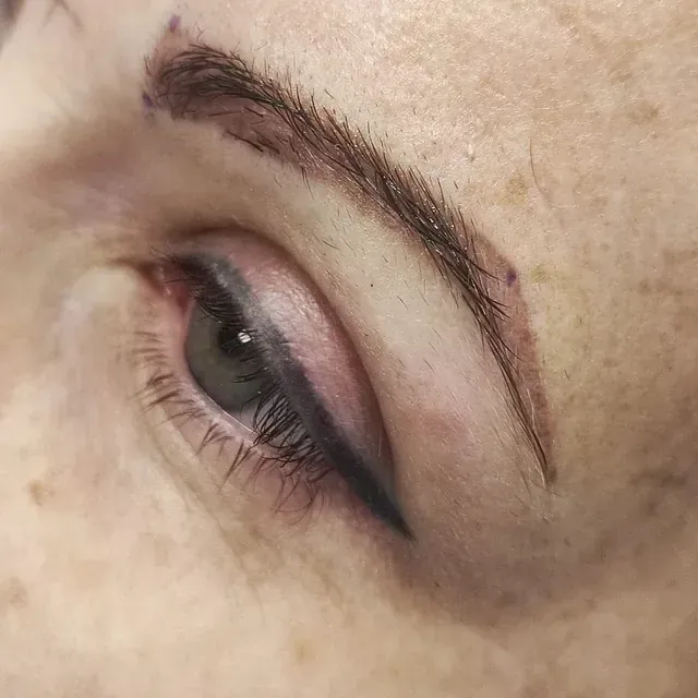 Un primer plano del ojo de una mujer con delineador de ojos y cejas.