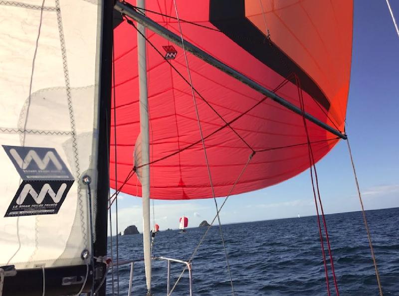 Grand-voile pour bateau de régate