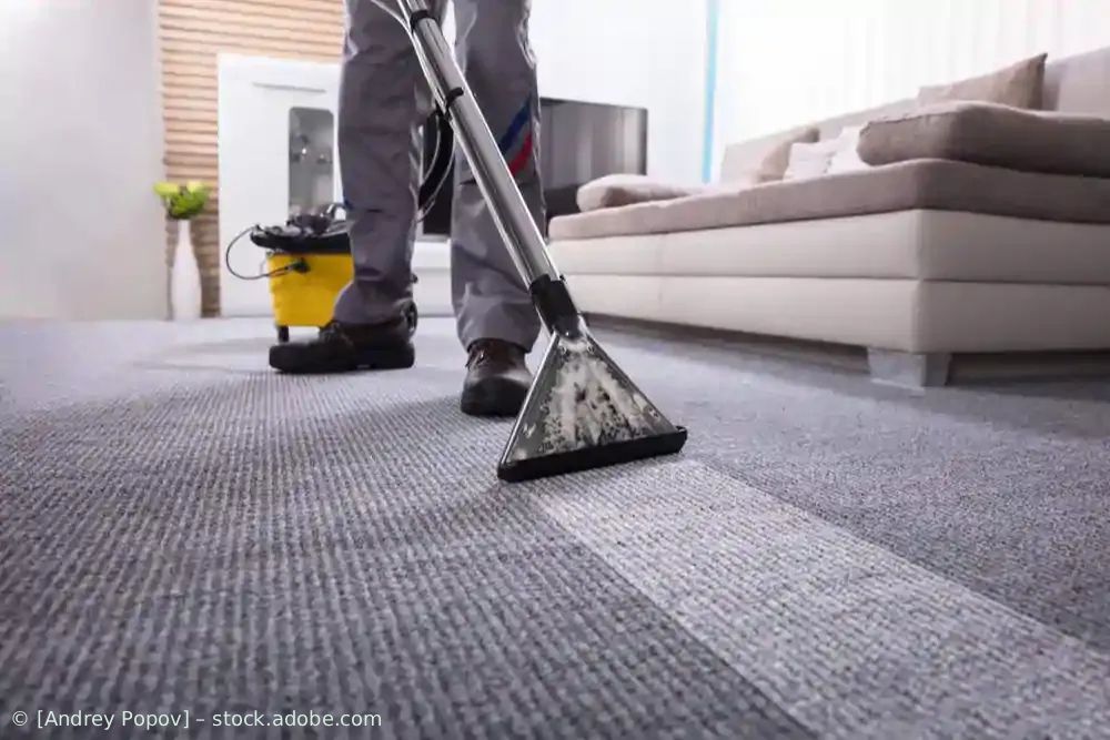 Arbeiter saugt grauen Teppich in einem hellen Wohnzimmer.