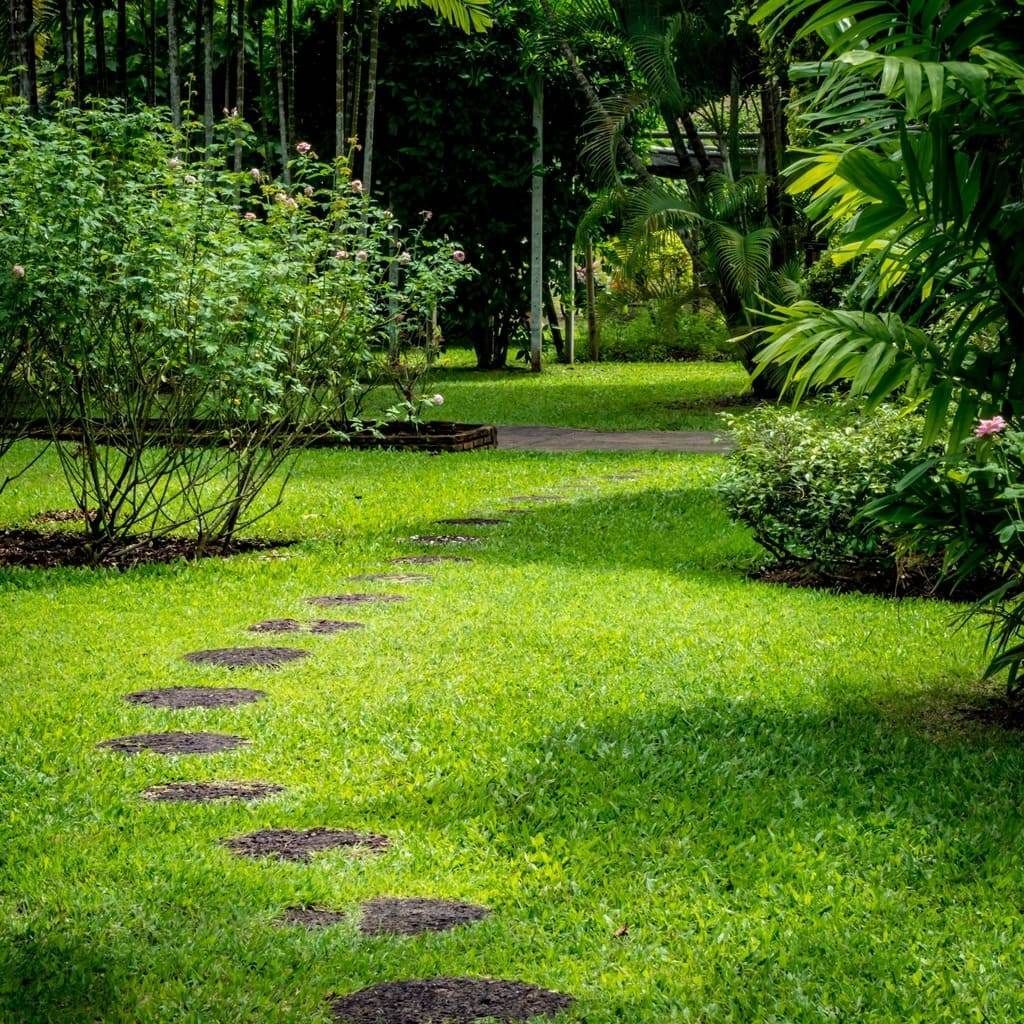 Un camino a través de un exuberante jardín verde con escalones.