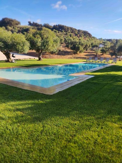 Hay una gran piscina en medio de un exuberante campo verde.