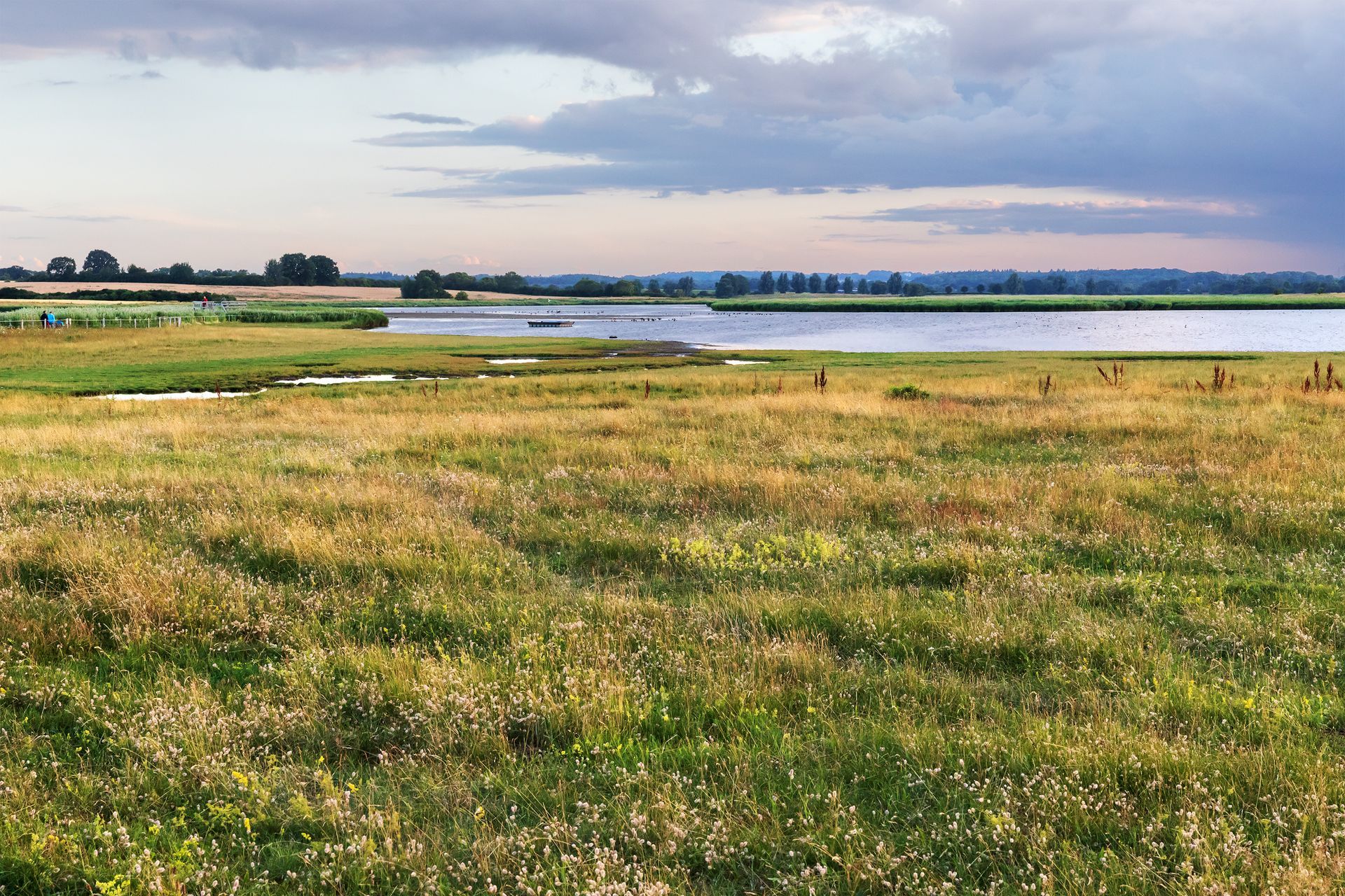 Eine große Wiese mit einem See im Hintergrund