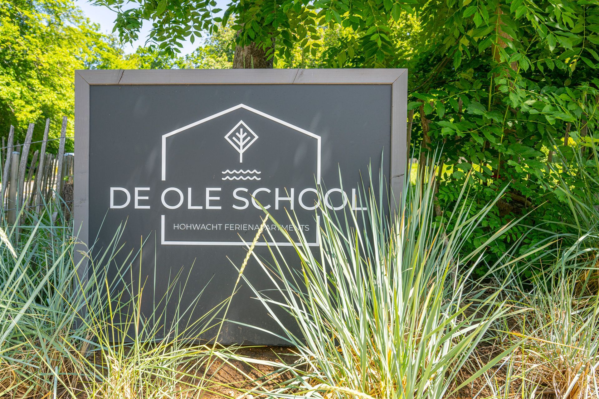 A sign for de ole school is surrounded by tall grass
