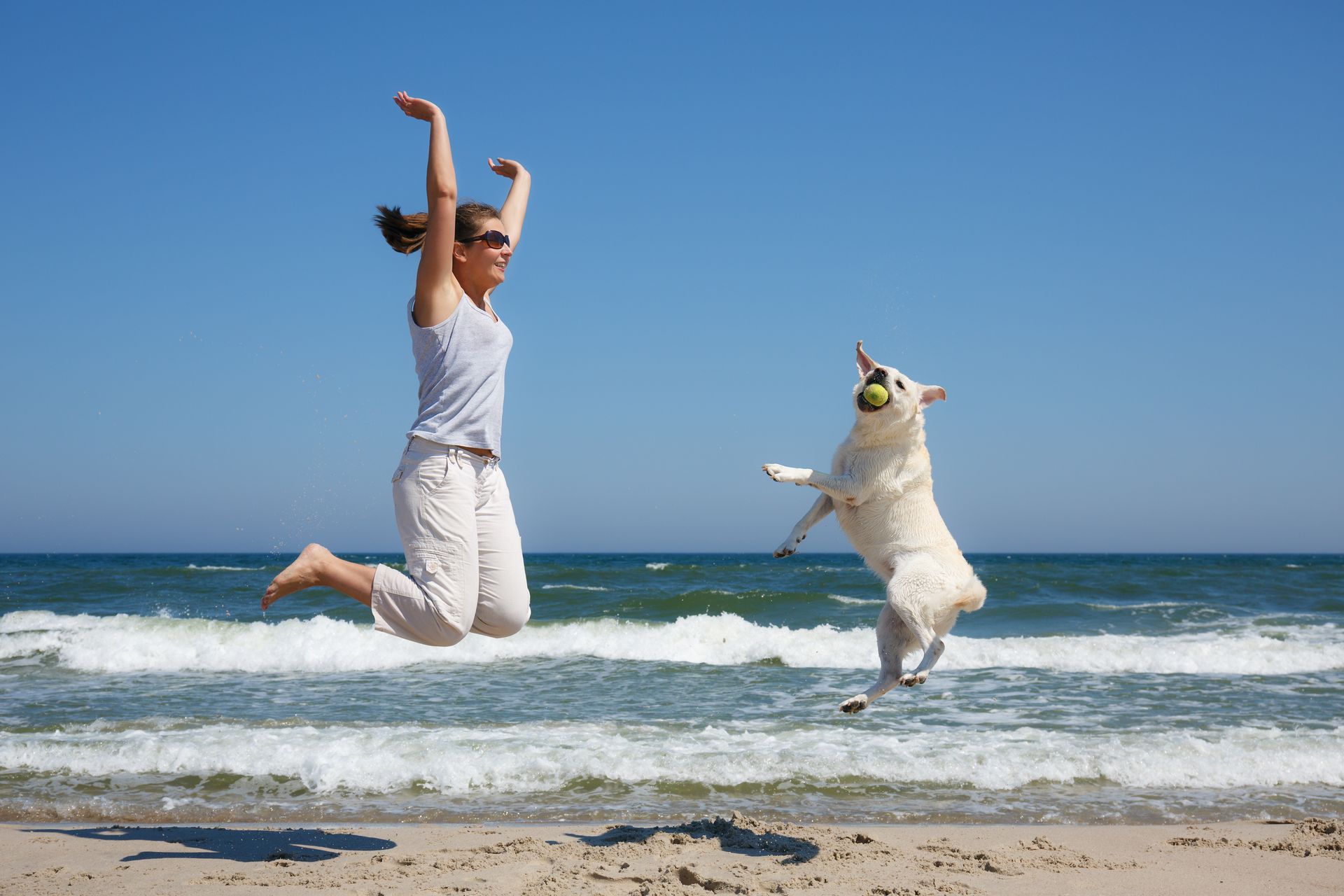 Hund und Frauchen am Strand - springend.