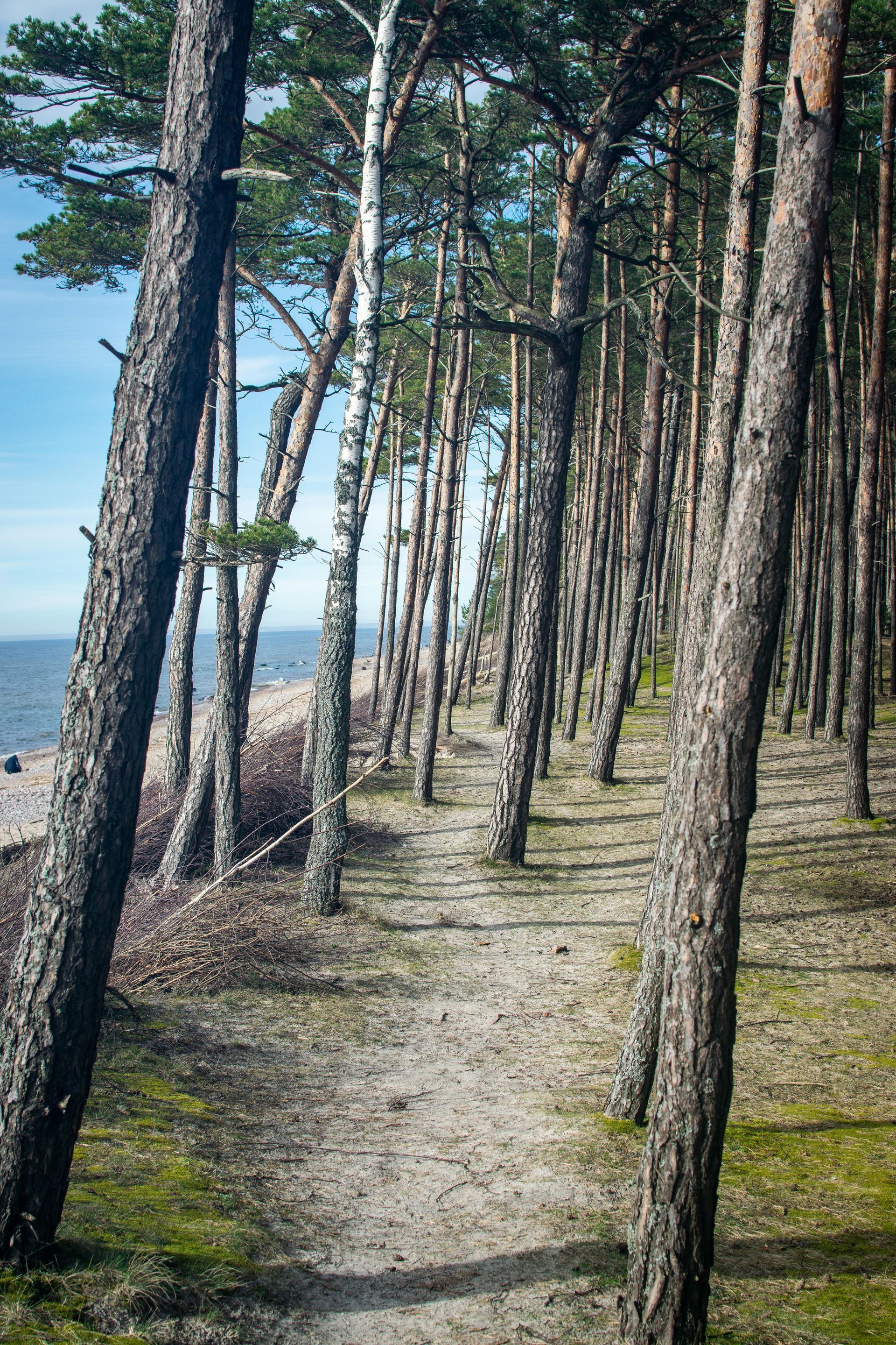 Frühling Hohwachter Bucht