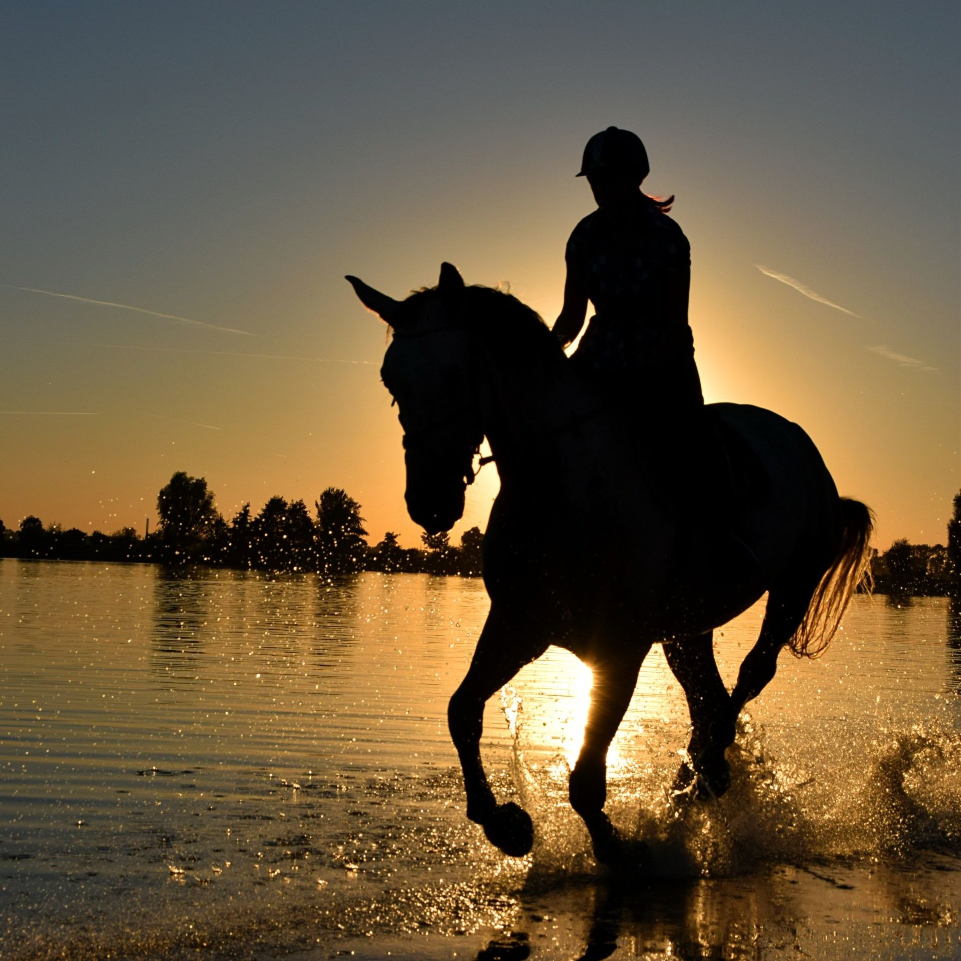 A person riding a horse in the water at sunset