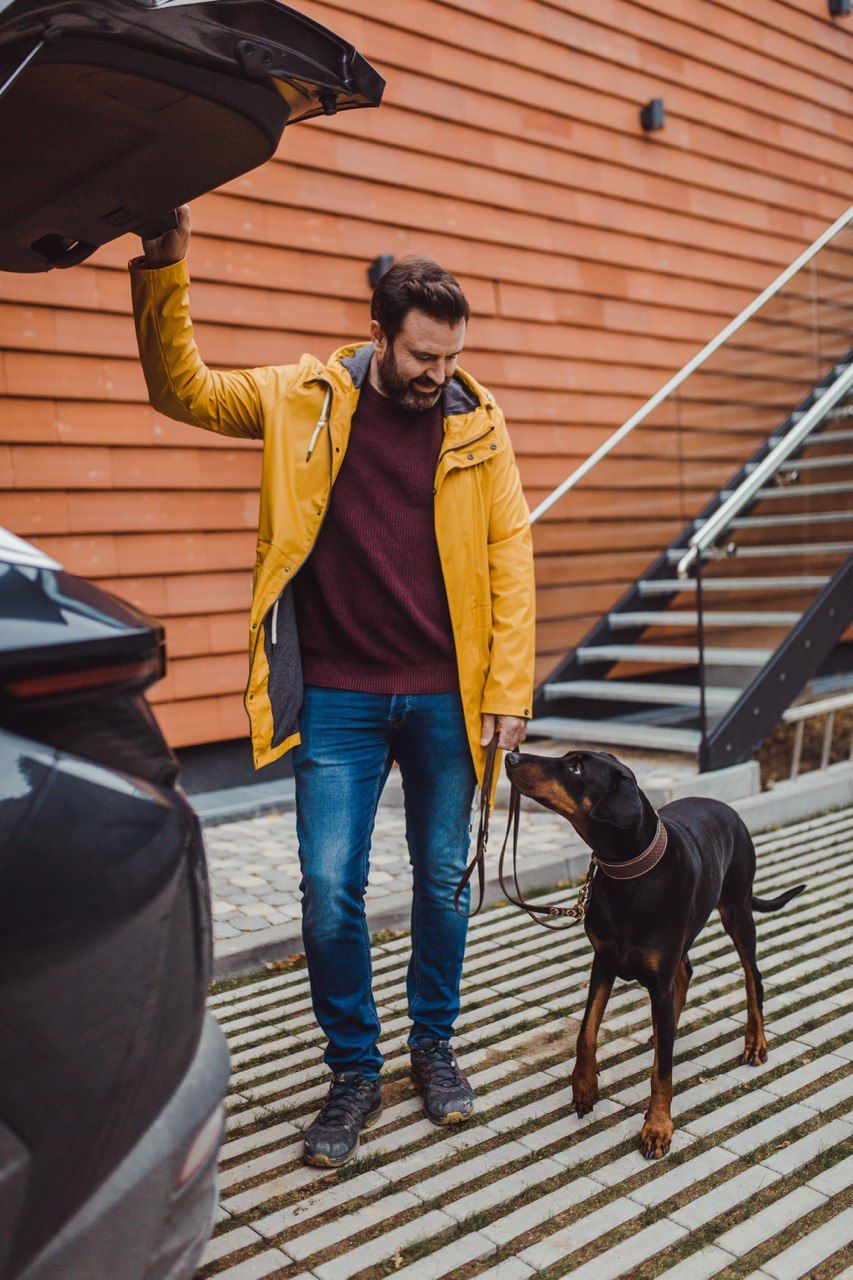Ein Mann setzt seinen Hund auf den Rücksitz eines Autos.