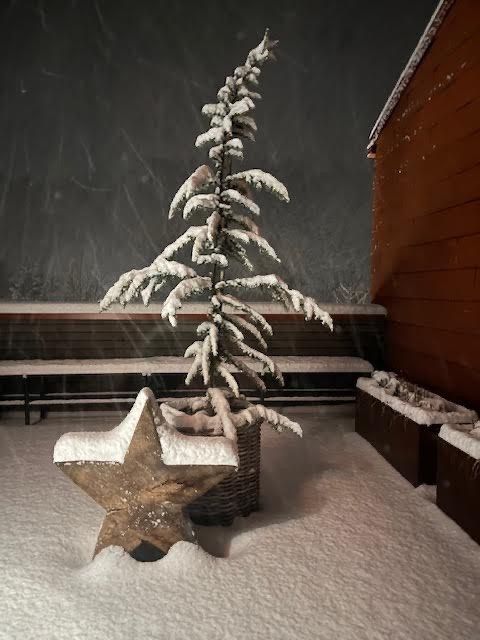Ein kleiner Weihnachtsbaum steht neben einem Stern im Schnee.