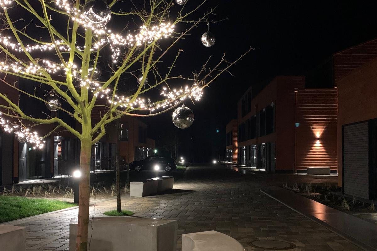 Beleuchteter Weihnachtsbaum im Ferienquartier De ole School in Hohwacht an der Ostsee am Winterabend
