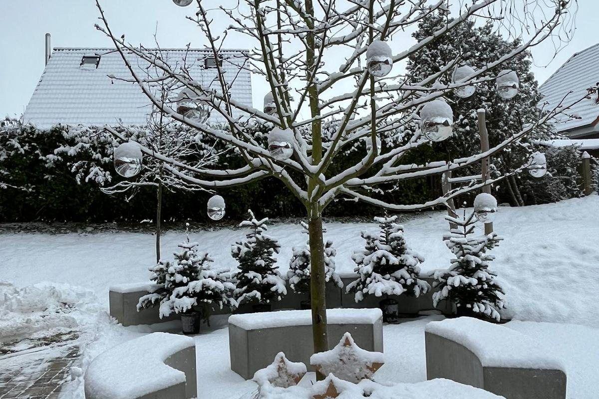 Verschneites Quartier De ole School in Hohwacht mit geschmücktem Weihnachtsbaum